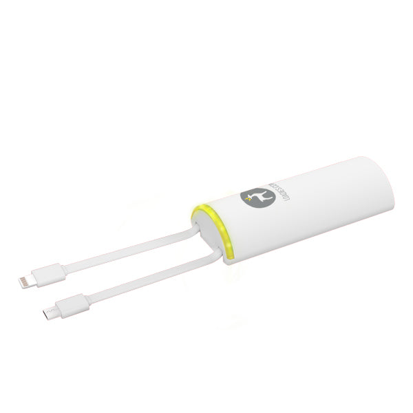 LOADIES Powerbank Station 8x3000mAh Ladestation USB-C Lightning 24000mAh